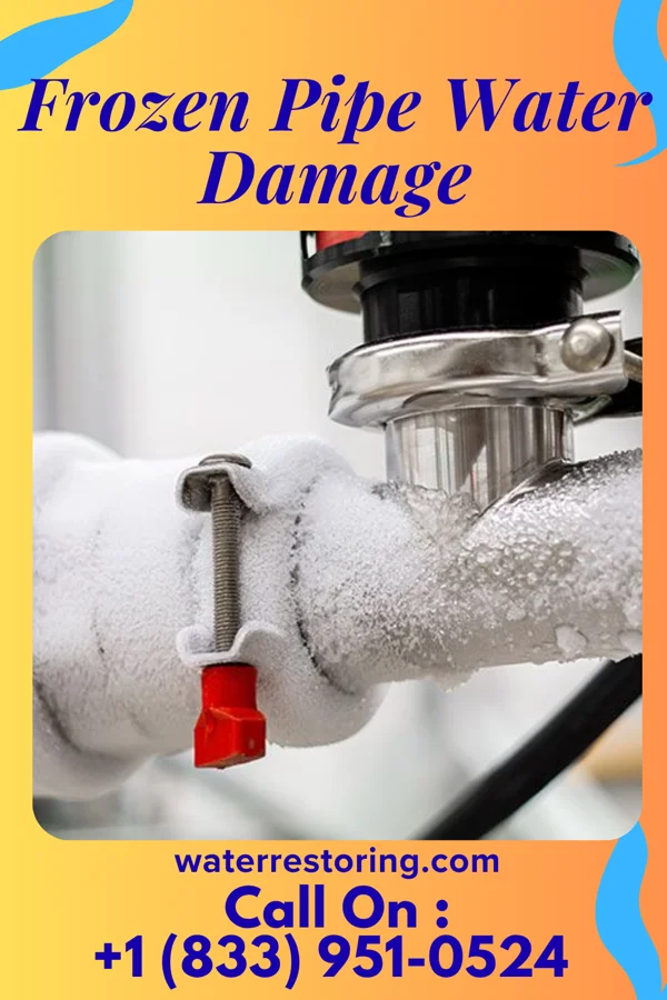 Frozen Pipe Water Damage in Cypress Gardens, FL