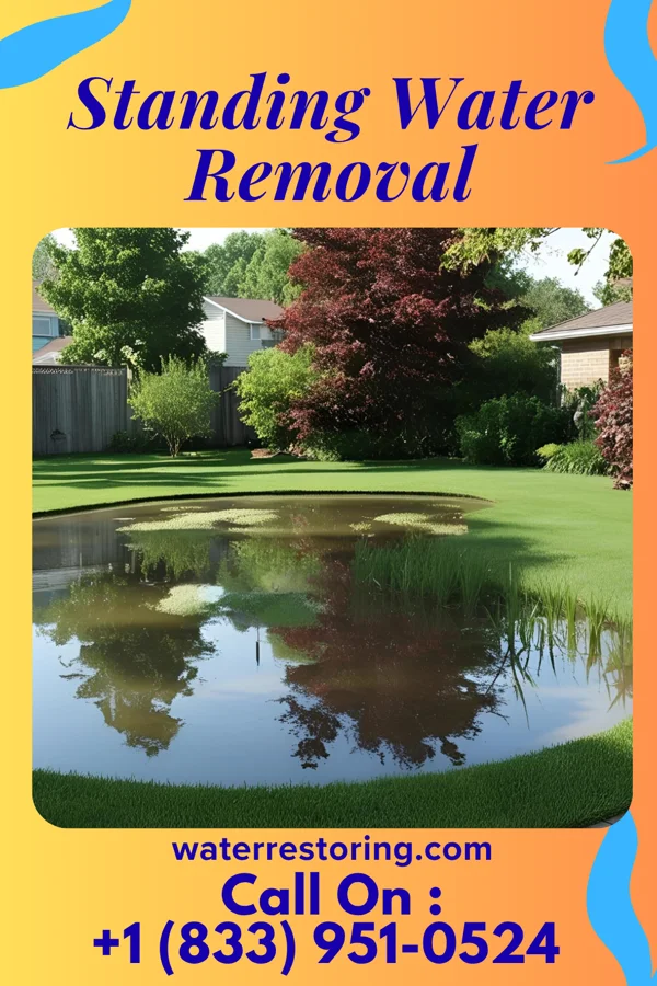 Standing Water Removal in Cypress Gardens, FL
